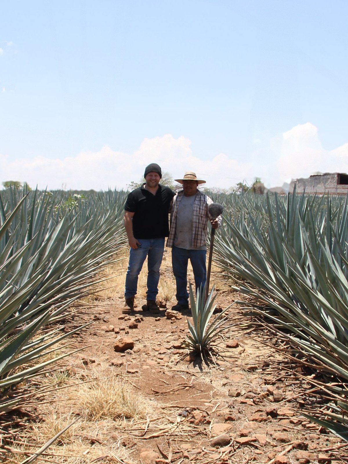 Laszlo Till with a jimador between rows of blue agave in Jalisco